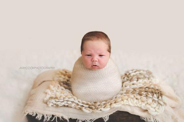 Newborn Photography Course by Amy Cook Photography + Videos!