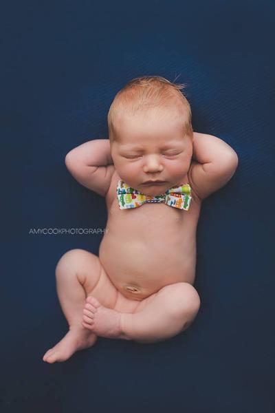 Newborn Photography Course by Amy Cook Photography + Videos!