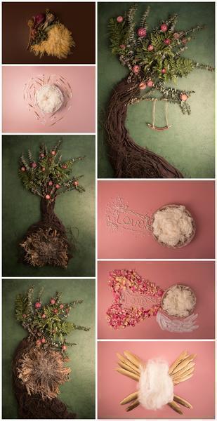 Blissful Newborn Girl Backdrop Collection {Includes 35 Backdrops}