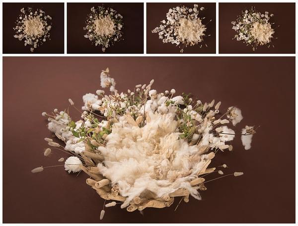 Dreamer Newborn Girl Backdrop Collection {Includes 35 Backdrops}