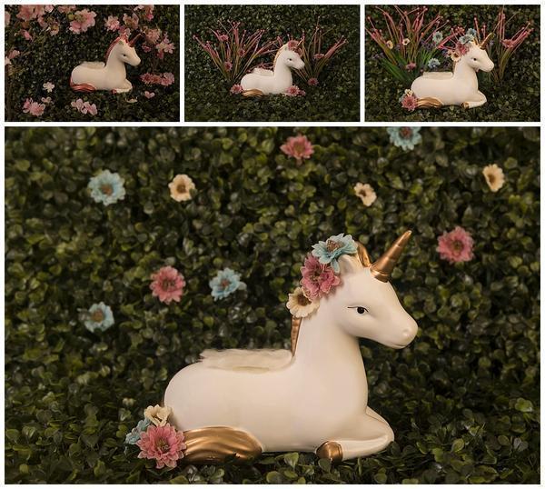 Itty Bitty Newborn Girl Backdrop Collection {Includes 35 Backdrops}