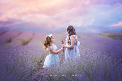 Over 800 Photoshop Actions, Overlays, Templates & More from Urban Bloom Actions