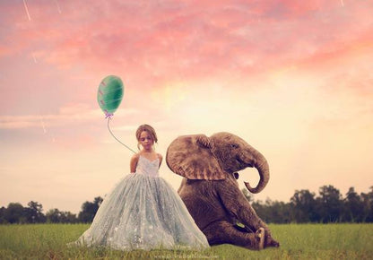 Imagine Series: Step by Step Composite Videos by Stephanie Stafford