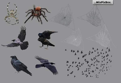 Spooky Halloween Photo Overlay Collection