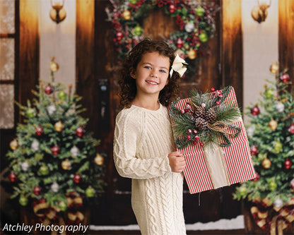 Santa Christmas Cottage Backdrop
