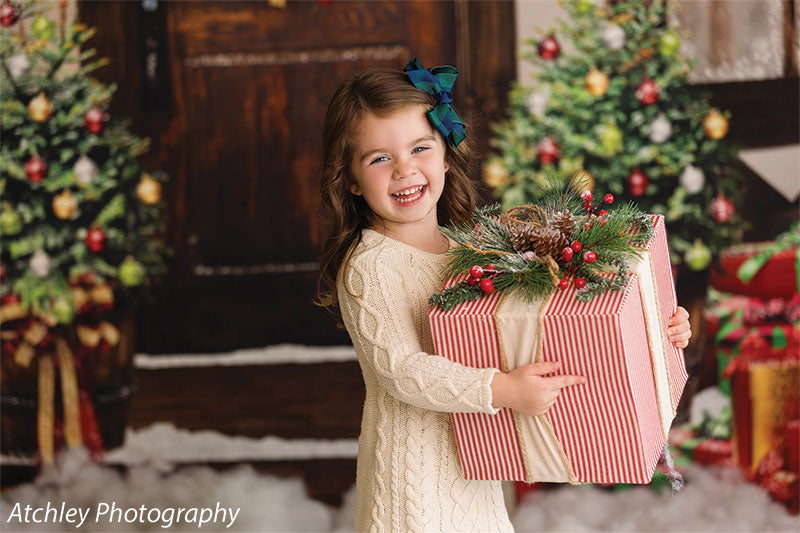 Santa Christmas Cottage Backdrop