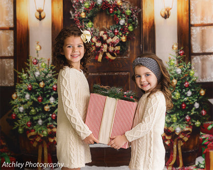 Santa Christmas Cottage Backdrop