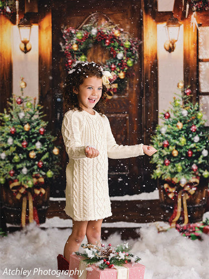 Santa Christmas Cottage Backdrop