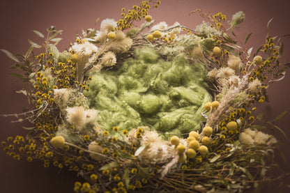 Dreamer Newborn Girl Backdrop Collection {Includes 35 Backdrops}