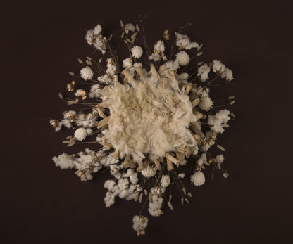 Dreamer Newborn Girl Backdrop Collection {Includes 35 Backdrops}