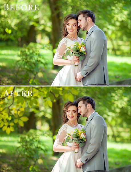 Spring Overlay Bundle: Bunnies, Magnolia, Butterflies, Lilacs, trees + more!