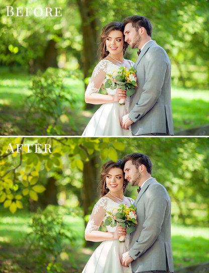 Spring Overlay Bundle: Bunnies, Magnolia, Butterflies, Lilacs, trees + more!