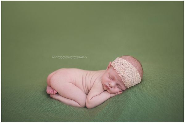 Newborn Photography Course by Amy Cook Photography + Videos!