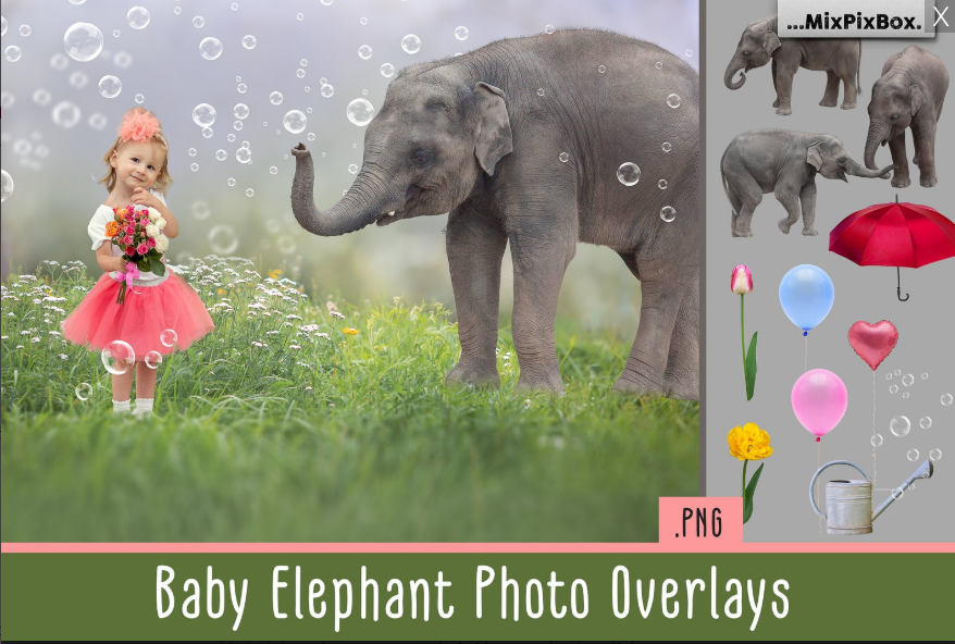 2000+ Photo Overlay Bundle: Beach Backgrounds, Dirt Explosion, Stadium Light, Animal Overlays, Ribbon, Floral + more!