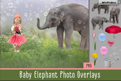 2000+ Photo Overlay Bundle: Beach Backgrounds, Dirt Explosion, Stadium Light, Animal Overlays, Ribbon, Floral + more!