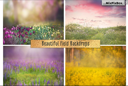 2000+ Photo Overlay Bundle: Beach Backgrounds, Dirt Explosion, Stadium Light, Animal Overlays, Ribbon, Floral + more!