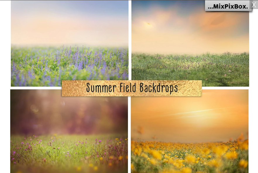 2000+ Photo Overlay Bundle: Beach Backgrounds, Dirt Explosion, Stadium Light, Animal Overlays, Ribbon, Floral + more!