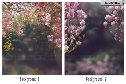 2000+ Photo Overlay Bundle: Beach Backgrounds, Dirt Explosion, Stadium Light, Animal Overlays, Ribbon, Floral + more!
