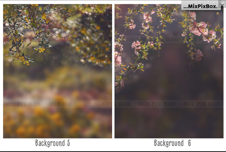 2000+ Photo Overlay Bundle: Beach Backgrounds, Dirt Explosion, Stadium Light, Animal Overlays, Ribbon, Floral + more!