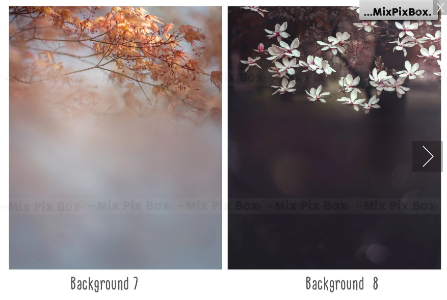 2000+ Photo Overlay Bundle: Beach Backgrounds, Dirt Explosion, Stadium Light, Animal Overlays, Ribbon, Floral + more!
