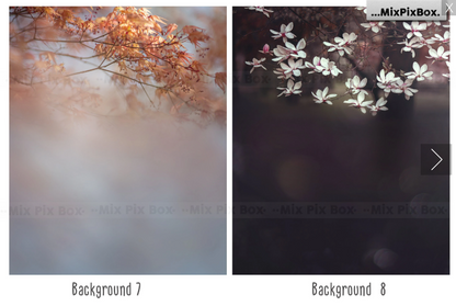 2000+ Photo Overlay Bundle: Beach Backgrounds, Dirt Explosion, Stadium Light, Animal Overlays, Ribbon, Floral + more!