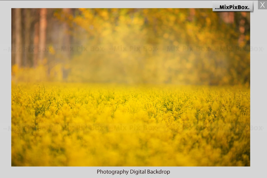 2000+ Photo Overlay Bundle: Beach Backgrounds, Dirt Explosion, Stadium Light, Animal Overlays, Ribbon, Floral + more!