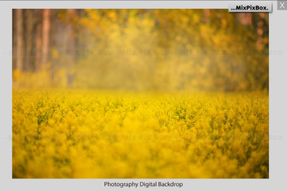 2000+ Photo Overlay Bundle: Beach Backgrounds, Dirt Explosion, Stadium Light, Animal Overlays, Ribbon, Floral + more!