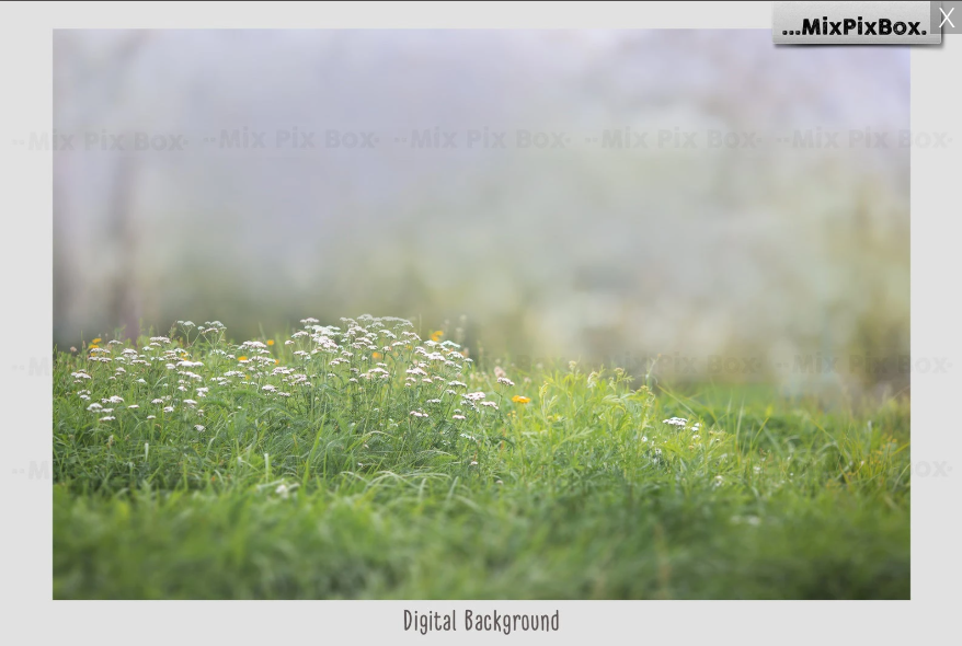 2000+ Photo Overlay Bundle: Beach Backgrounds, Dirt Explosion, Stadium Light, Animal Overlays, Ribbon, Floral + more!