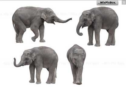 2000+ Photo Overlay Bundle: Beach Backgrounds, Dirt Explosion, Stadium Light, Animal Overlays, Ribbon, Floral + more!