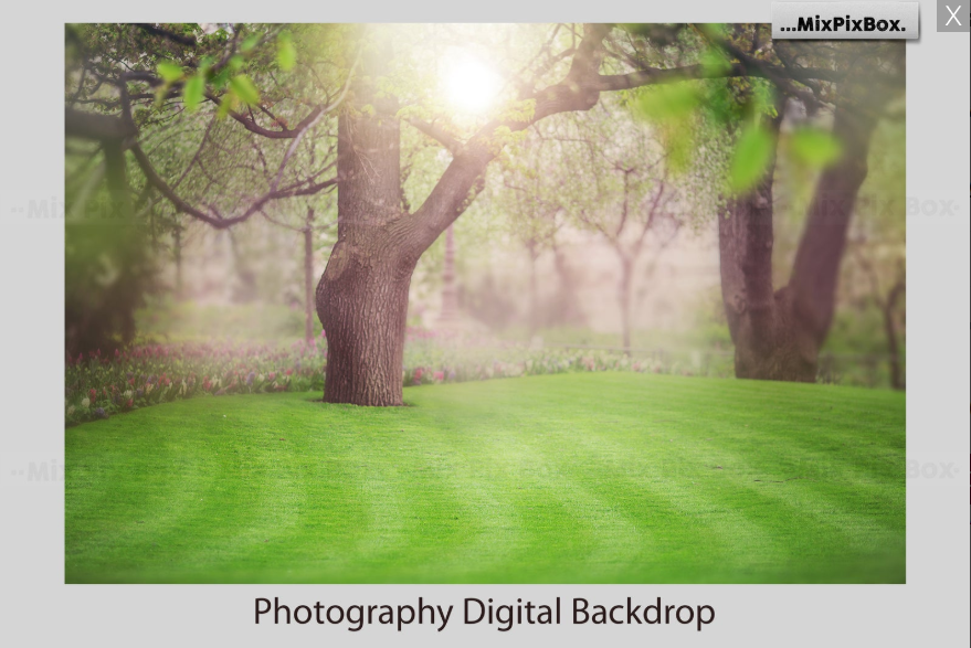 2000+ Photo Overlay Bundle: Beach Backgrounds, Dirt Explosion, Stadium Light, Animal Overlays, Ribbon, Floral + more!