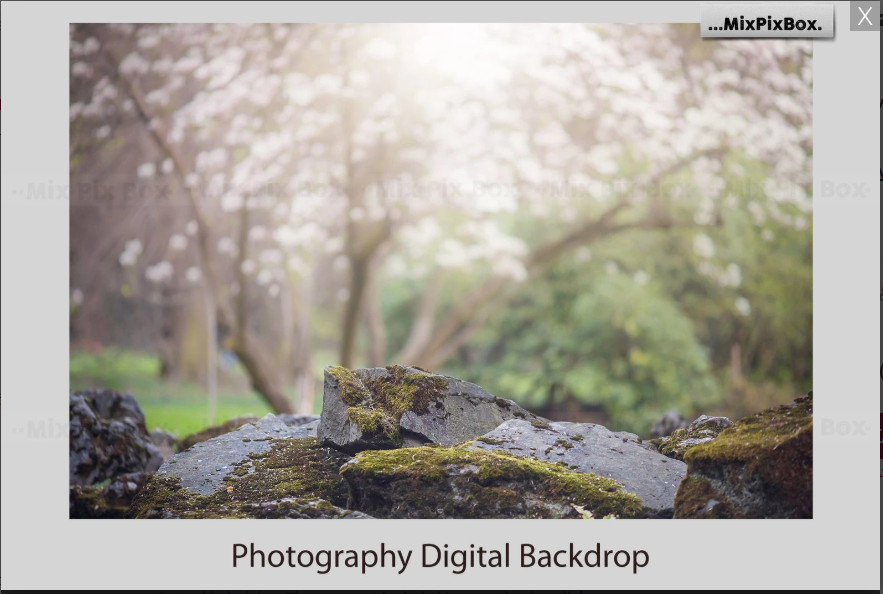 2000+ Photo Overlay Bundle: Beach Backgrounds, Dirt Explosion, Stadium Light, Animal Overlays, Ribbon, Floral + more!