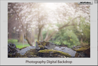 2000+ Photo Overlay Bundle: Beach Backgrounds, Dirt Explosion, Stadium Light, Animal Overlays, Ribbon, Floral + more!