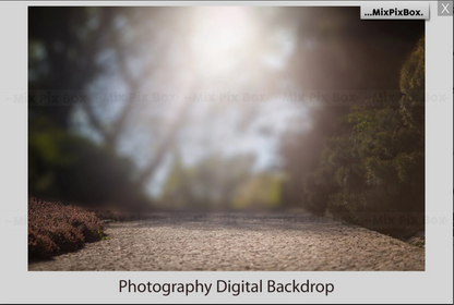 2000+ Photo Overlay Bundle: Beach Backgrounds, Dirt Explosion, Stadium Light, Animal Overlays, Ribbon, Floral + more!