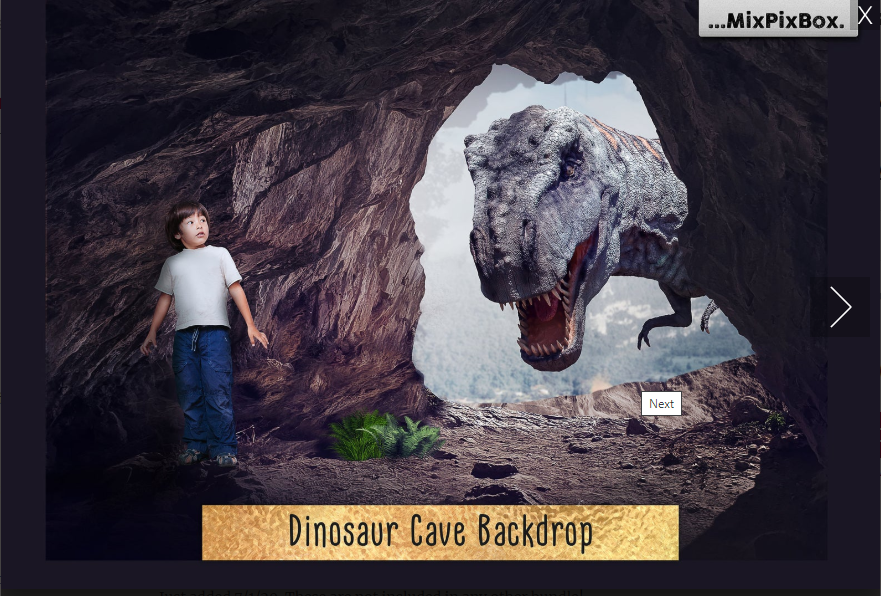 2000+ Photo Overlay Bundle: Beach Backgrounds, Dirt Explosion, Stadium Light, Animal Overlays, Ribbon, Floral + more!