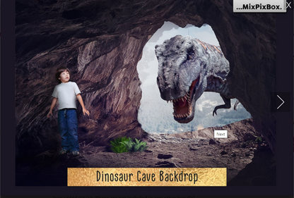 2000+ Photo Overlay Bundle: Beach Backgrounds, Dirt Explosion, Stadium Light, Animal Overlays, Ribbon, Floral + more!