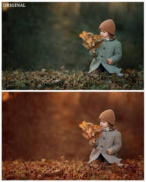 Over 800 Photoshop Actions, Overlays, Templates & More from Urban Bloom Actions