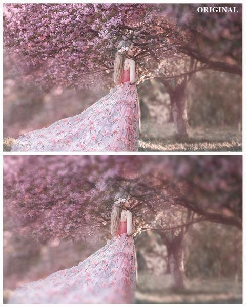 Over 800 Photoshop Actions, Overlays, Templates & More from Urban Bloom Actions