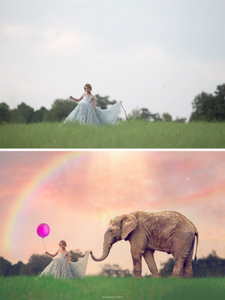 Imagine Series: Step by Step Composite Videos by Stephanie Stafford