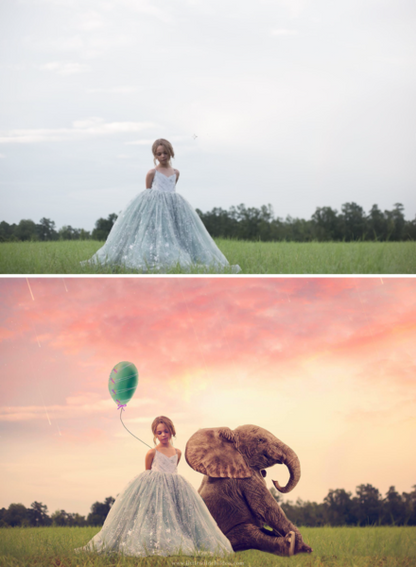 Imagine Series: Step by Step Composite Videos by Stephanie Stafford