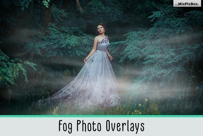 1700+ Photo Overlays, Long Exposure, Glitter, Number Balloons, Digital Papers + More!