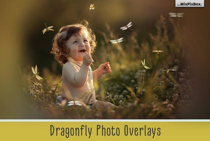 1700+ Photo Overlays, Long Exposure, Glitter, Number Balloons, Digital Papers + More!
