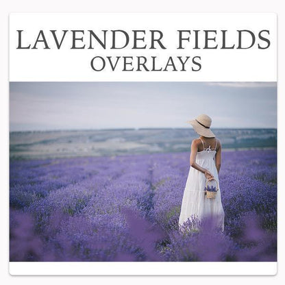 Over 800 Photoshop Actions, Overlays, Templates & More from Urban Bloom Actions